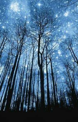 Глубина ночного неба.