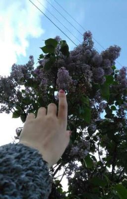 Верни меня к жизни..