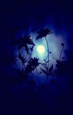 Звездная ночь: сладость и страсть?