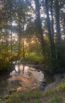 Иногда я забываюсь
