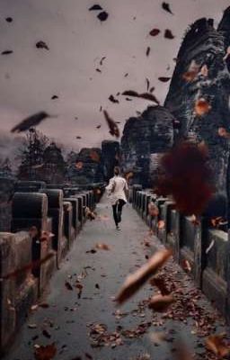 Расстояние убивает