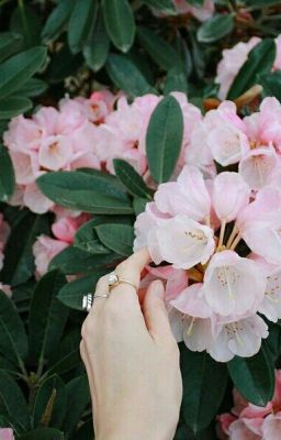 Красивые стихи