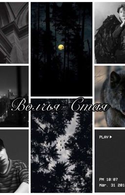 Волчья Стая 