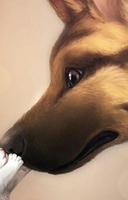 Реальная любовь