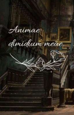 Animae dimidium meae