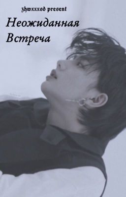 Неожиданная встреча.