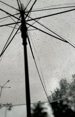 Страницы бесконечной любви