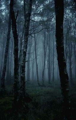 Тишина в твою честь 