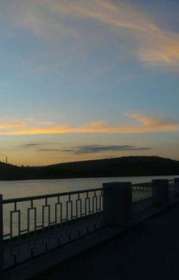 Жизнь серой мышки◌⑅⃝●♡⋆♡LOVE♡⋆♡●⑅◌