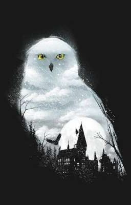 "Внучка" Дамблдора из будущего