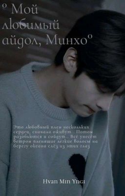 ° мой любимый айдол, Минхо °