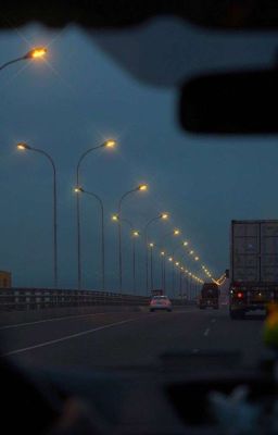 весенние крылья. 