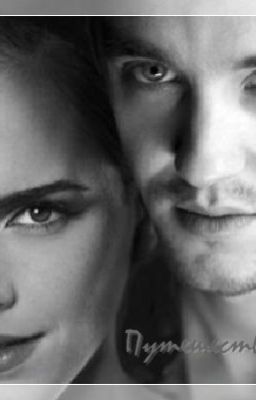 Путешествие домой