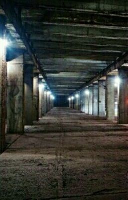 Последняя остановка