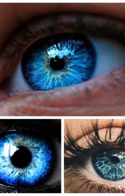 Мародеры и Малышка Ри