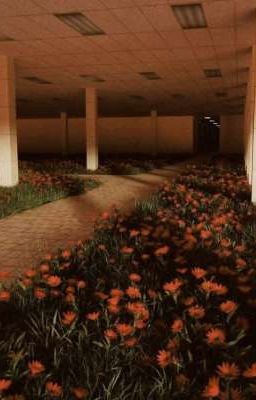 Возвращаясь