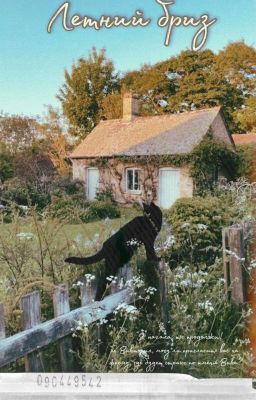 Летний бриз. 