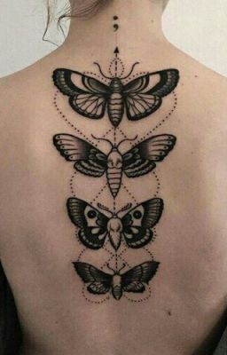 The Butterfly affects