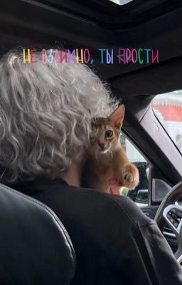 не взаимно, ты прости||парадеевич