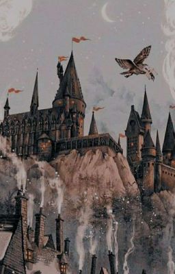 Я и жизнь в хогвартсе 