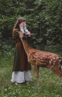 Драма на охоте. А.П.Чехов