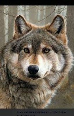 История Одной Девушки