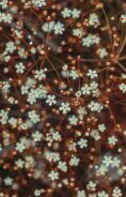 Истории в Шести Словах