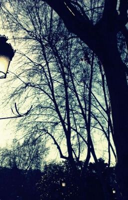 Ключ от королевства