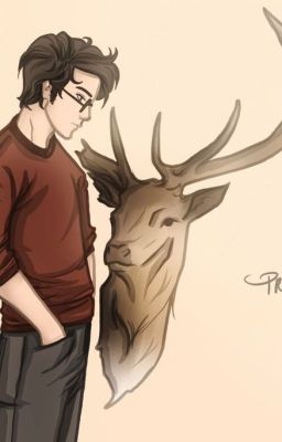 Сохатик. Часть 1.