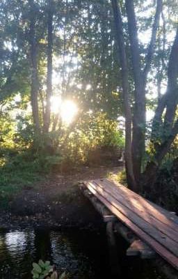 у меня гетерохромия... 