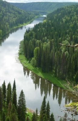 История жизни Мелиссы 