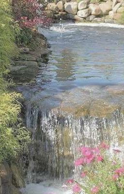 Обычная Любовь...?