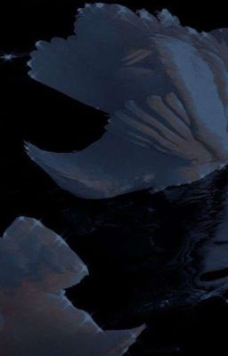 Спасение разбитой любви 