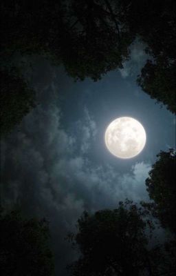 В тенях Мегаполиса