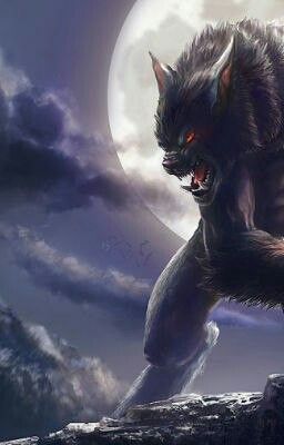 Новая жизнь