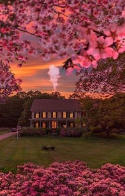 Сборник Стихов 📚 