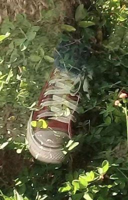 все будет хорошо 