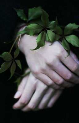 история одного шрама