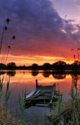 Летний вечер