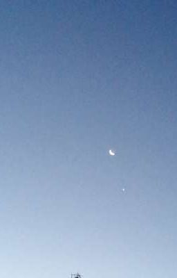 В воплощение любви 