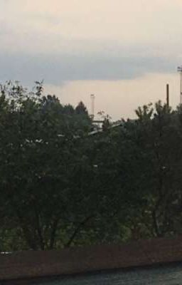 Судьба решает всё.