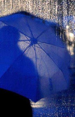 Новая жизнь 