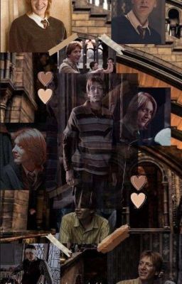 Луанна Поттер и Фред Уизли