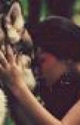 Академия Вампиров