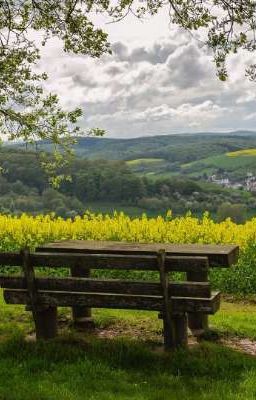 Постапокалипсис в 14