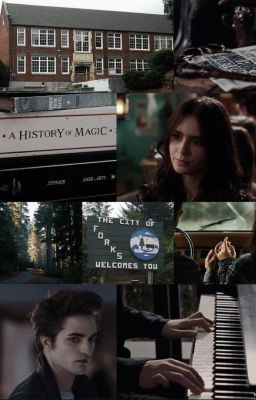 Жить по своим правилам