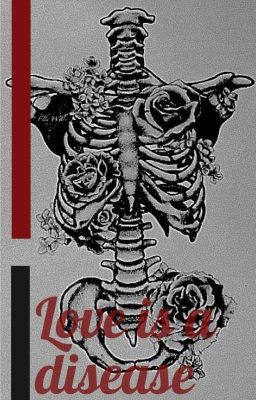 Куст чёрных роз 