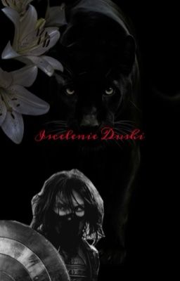 Осколки души 