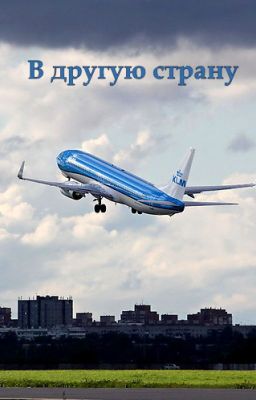 В другую страну