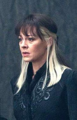 Ученик Нарциссы Малфой или секрет Гарри Поттера.